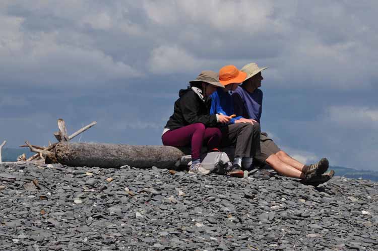 people sitting on log on beach